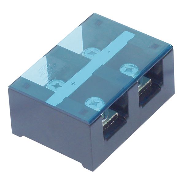 Клеммы, клеммные блоки RTC 150-2P CHIKU